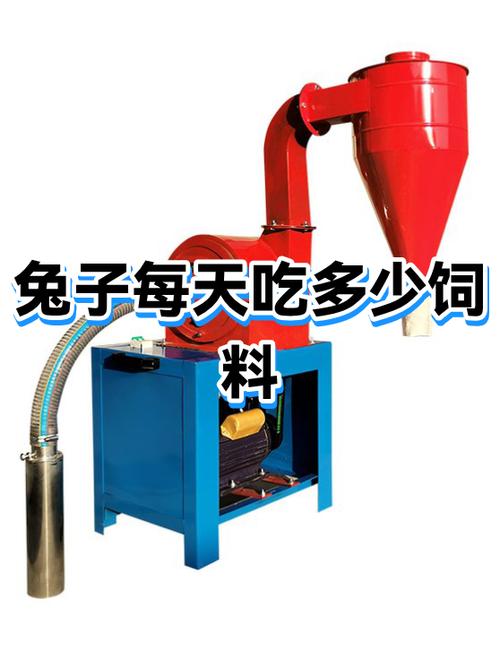 兔子喂食量和时间
