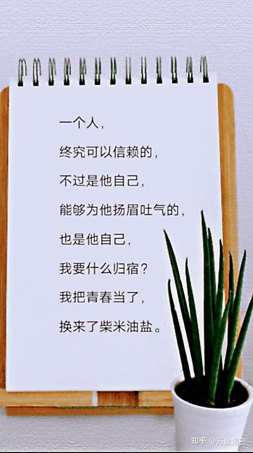 精彩文章分享