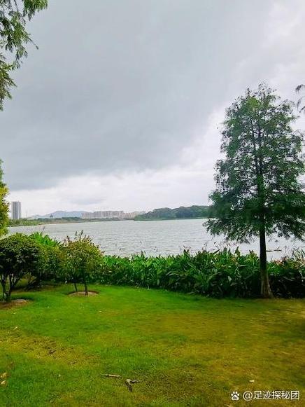 白云区湿地公园在哪