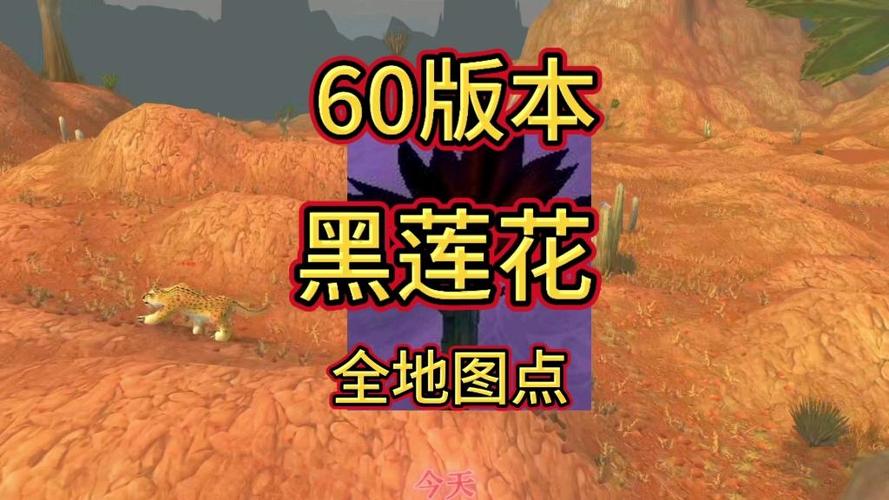 魔兽黑莲花采集点