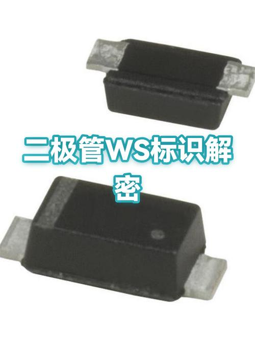 WS代表什么