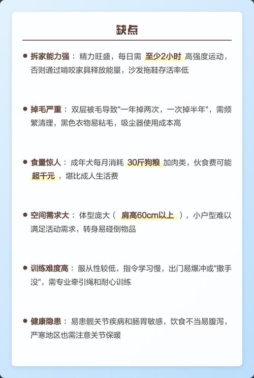 oppofindx6优缺点