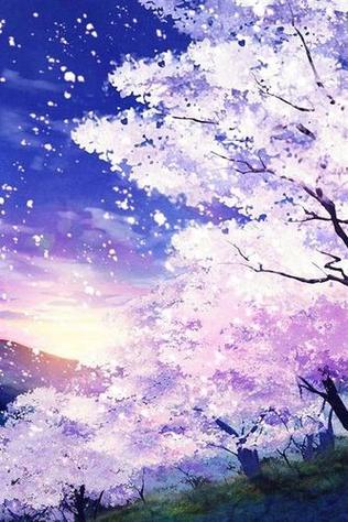 樱花动漫【实时更新2025年动漫】-用图标