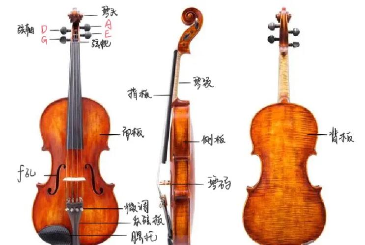 初学小提琴的基本方法