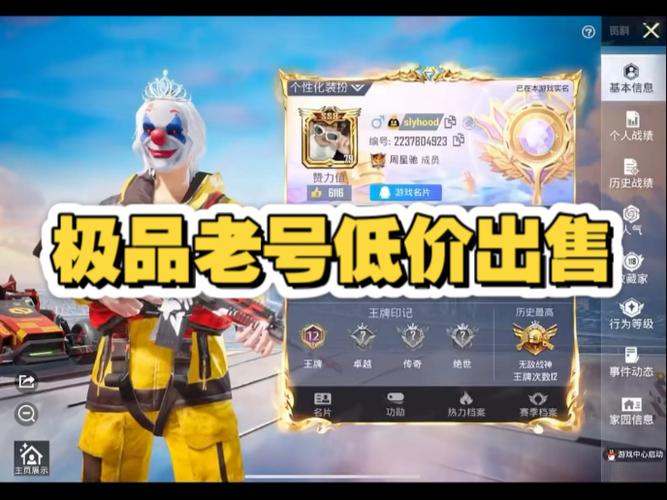 和平精英低价账号