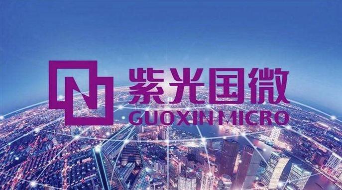 紫光国微在中国的地位