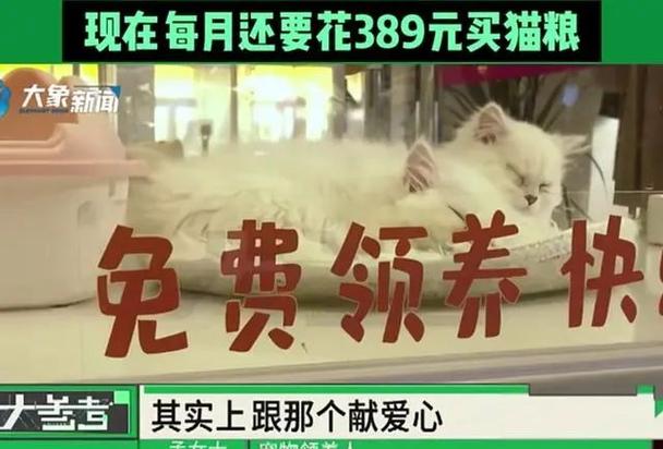 花猫贷款缩略图