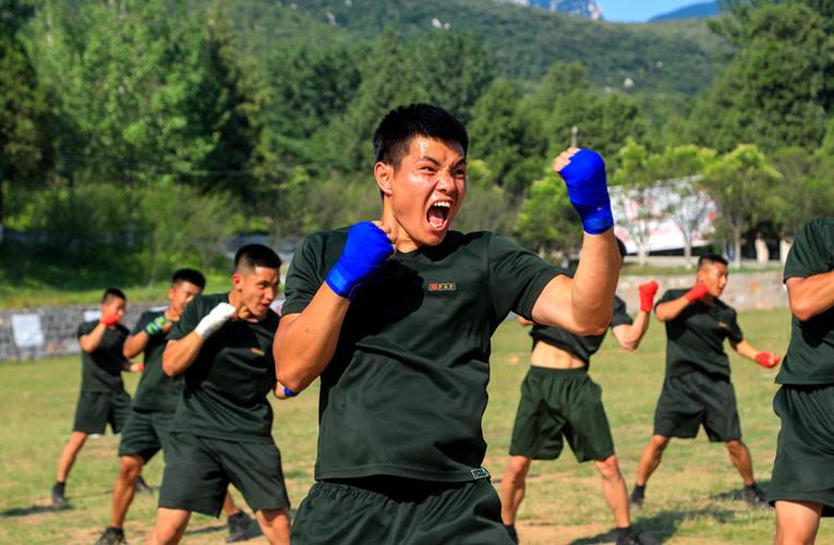 苏州拳力精武搏击