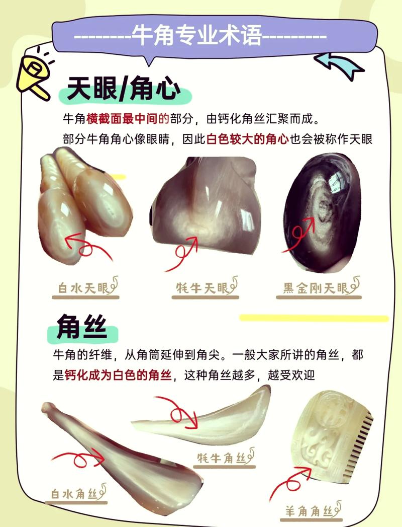 牛角有什么作用与功效