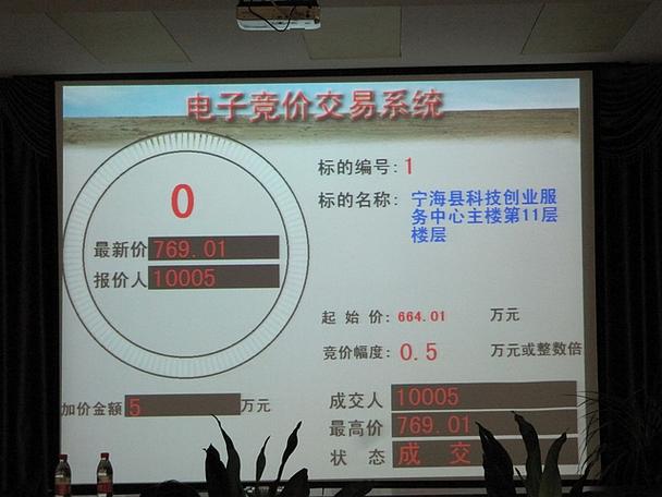 网络电子竞价技巧