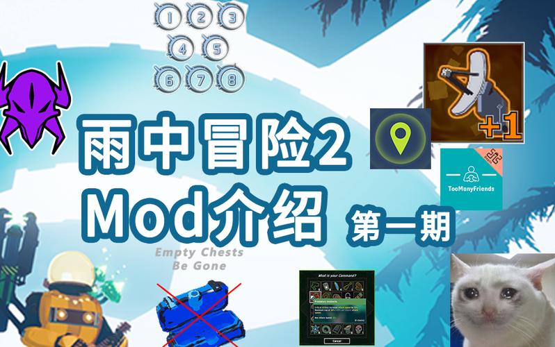 雨中冒险2最新mod