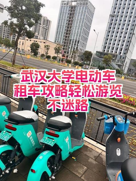普洱租车多少钱一天缩略图