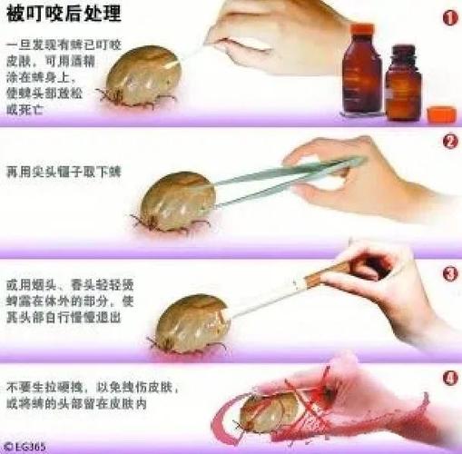 如何驱虫