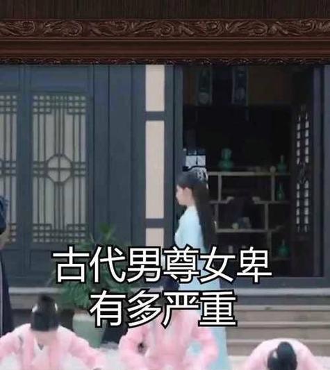 穿越男尊女贵妻主多夫缩略图