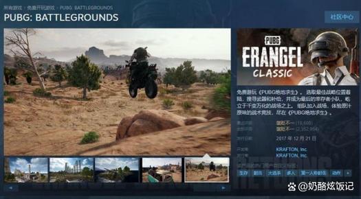 pubg游戏官网