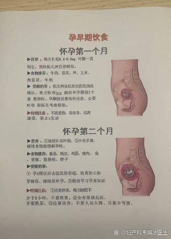 怀孕多久会孕吐缩略图