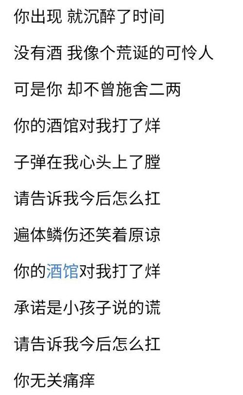 我的酒馆不打烊歌词截图