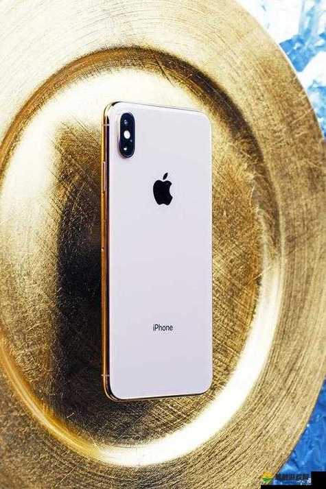 XS MAX最低亮度屏幕闪烁缩略图