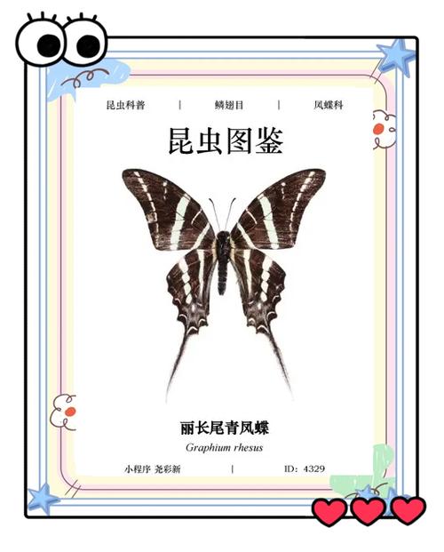 蝴蝶图鉴17种位置