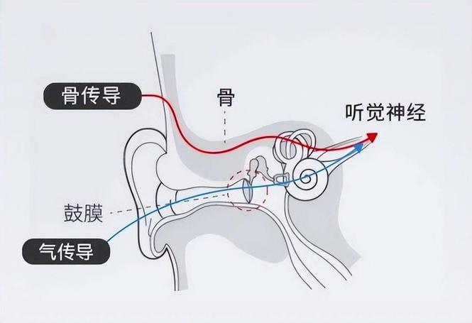 耳机骨传导和气传导的区别