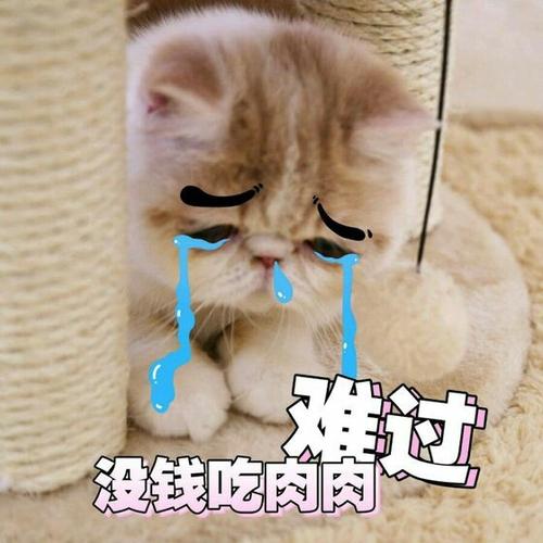 肚子上全是肉的表情包缩略图
