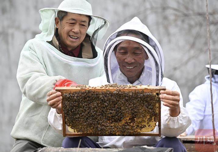 小蜜蜂采购在线