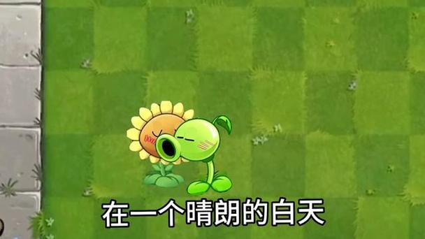 向日葵跟豌豆射手感情