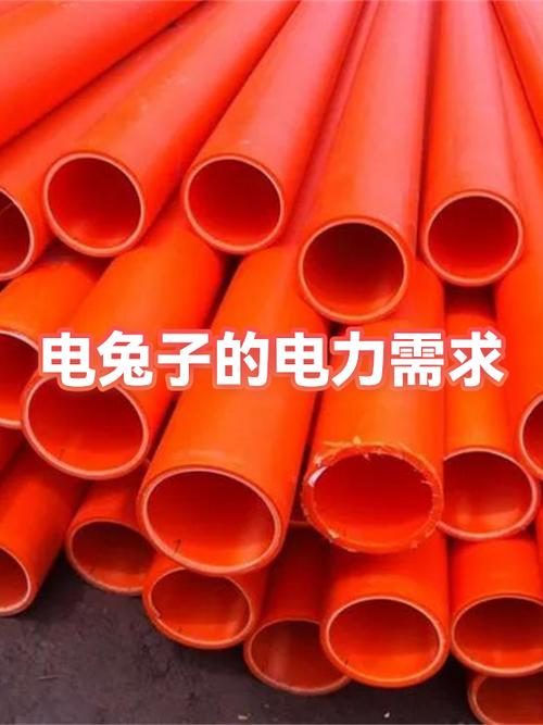 电兔子一般几点能电到