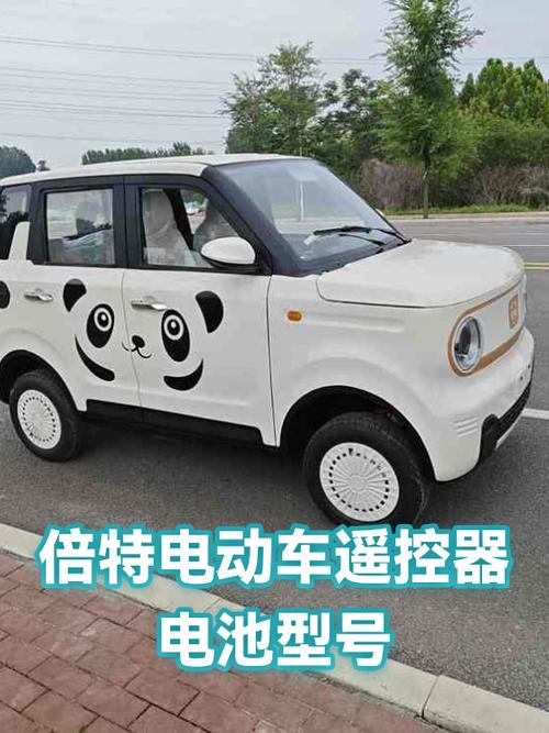 电动车遥控器电池型号是什么截图