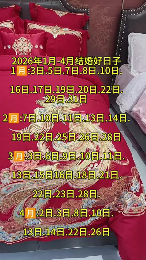 幸福宅女结婚版2026