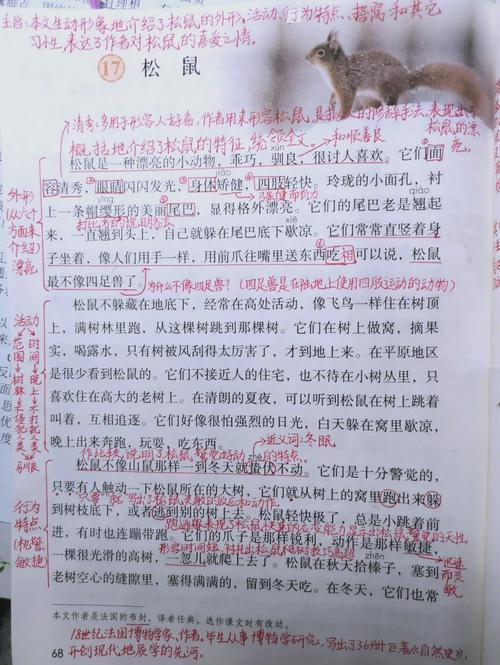 难言松鼠全文阅读