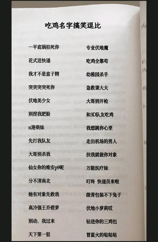 吃鸡挑衅名字