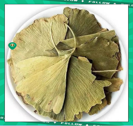 银杏中药科普知识手抄报