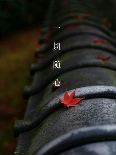 红米手机怎么设置随机壁纸