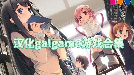 汉化狐狸汉化galgame游戏