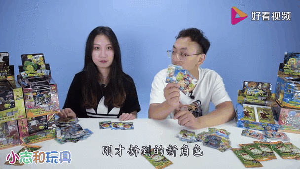 小志植物大战僵尸卡片对战