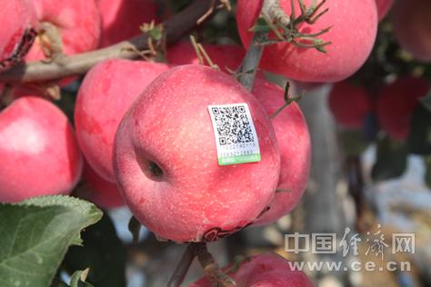 条码追溯小程序