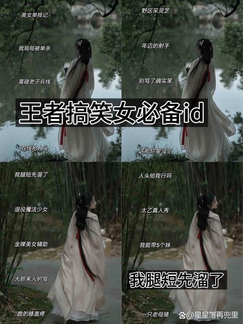 撕葱id