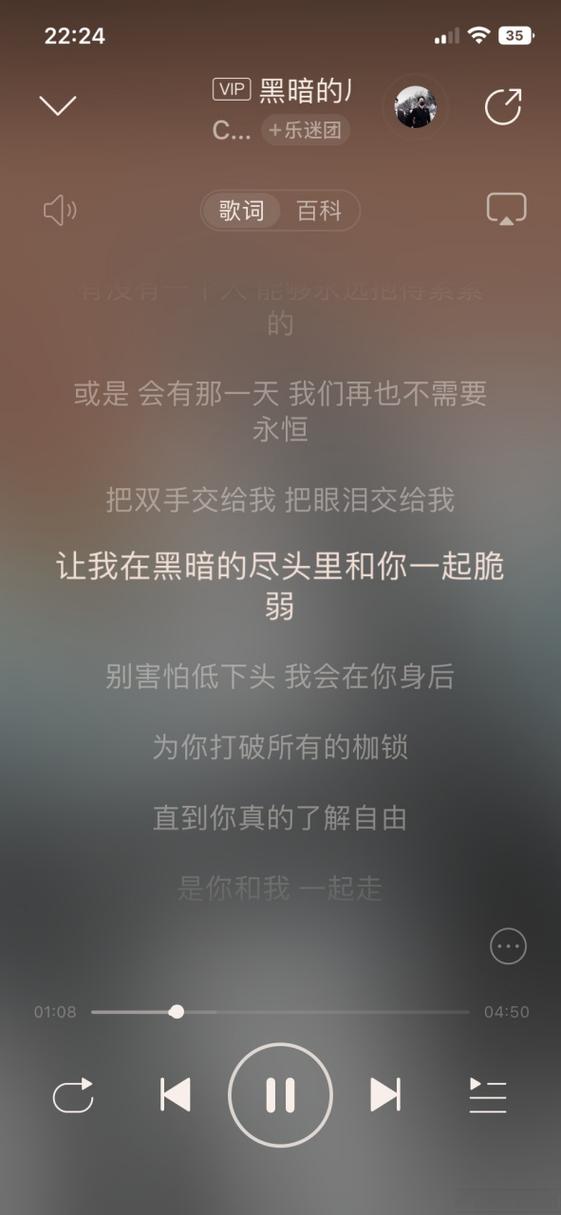 可以当做梗的歌词