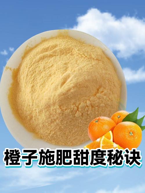 橙子含糖量多少