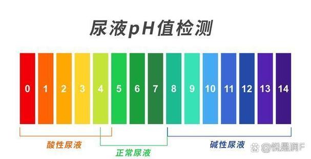 网络上说的PH是什么