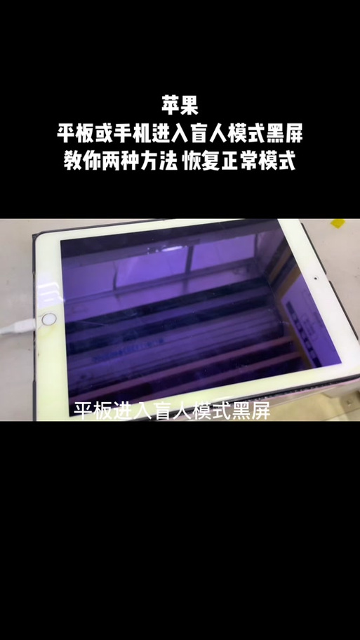 ipad突然黑屏转圈圈游戏截图