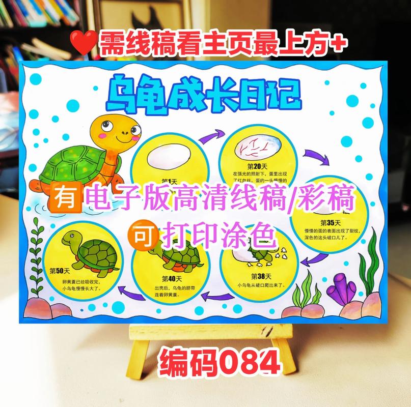 乌龟壳上贴纸会限制乌龟生长吗