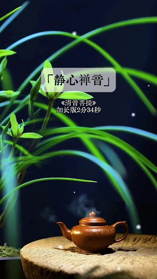 电吹管《菩提树下》