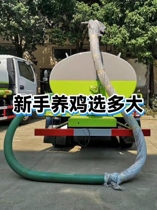 新手养鸡养多少合适
