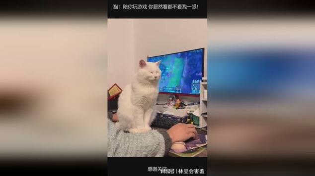 女生让我陪她打游戏
