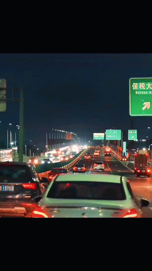 Driver Life - Car Simulator截图