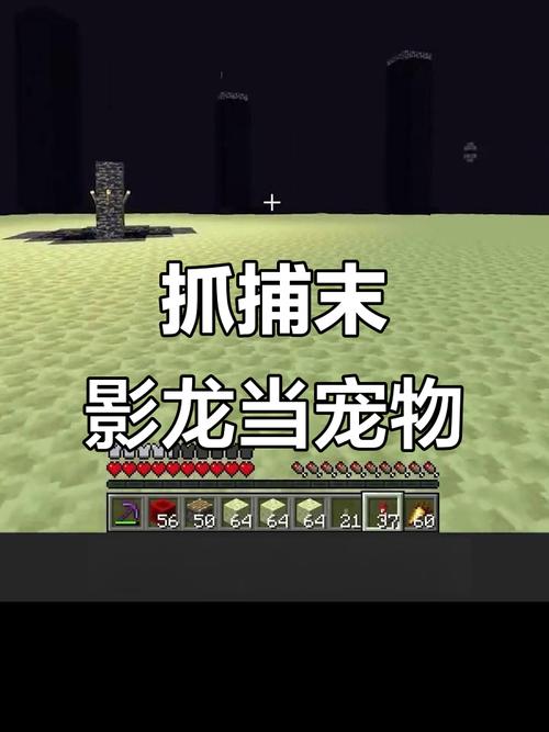 我的世界如何驯服末影龙