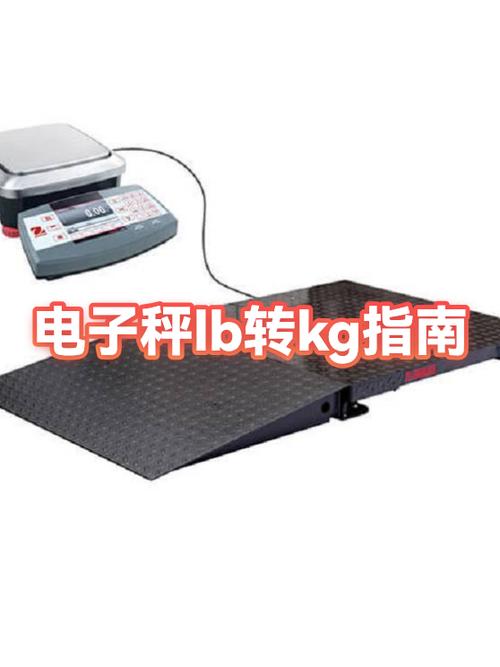 LB是什么货币