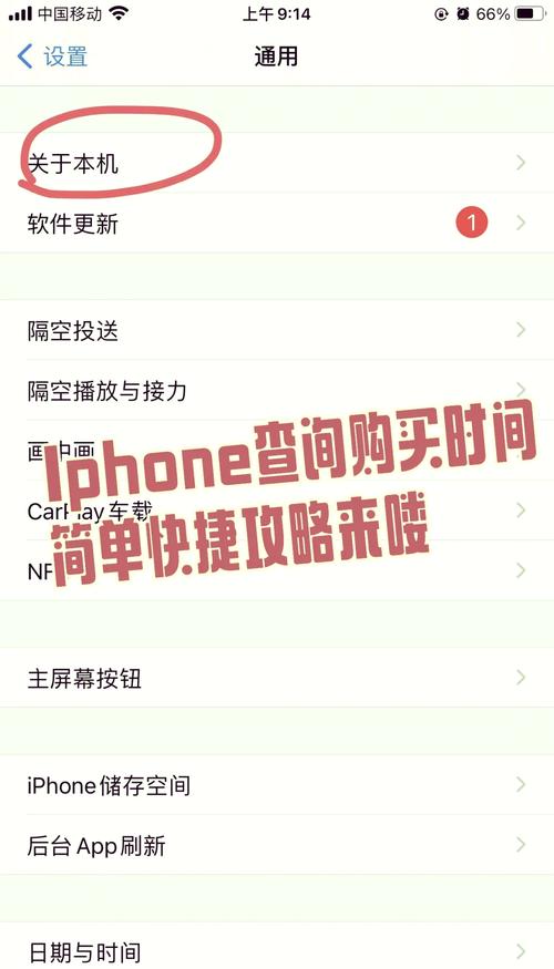 怎么查询苹果x购买日期